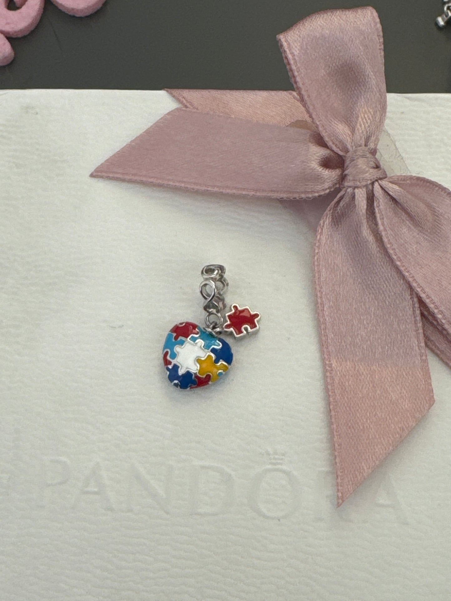 Genuine Gnoce Jigsaw Piece Autism Awareness Charm Dangle Infinity
