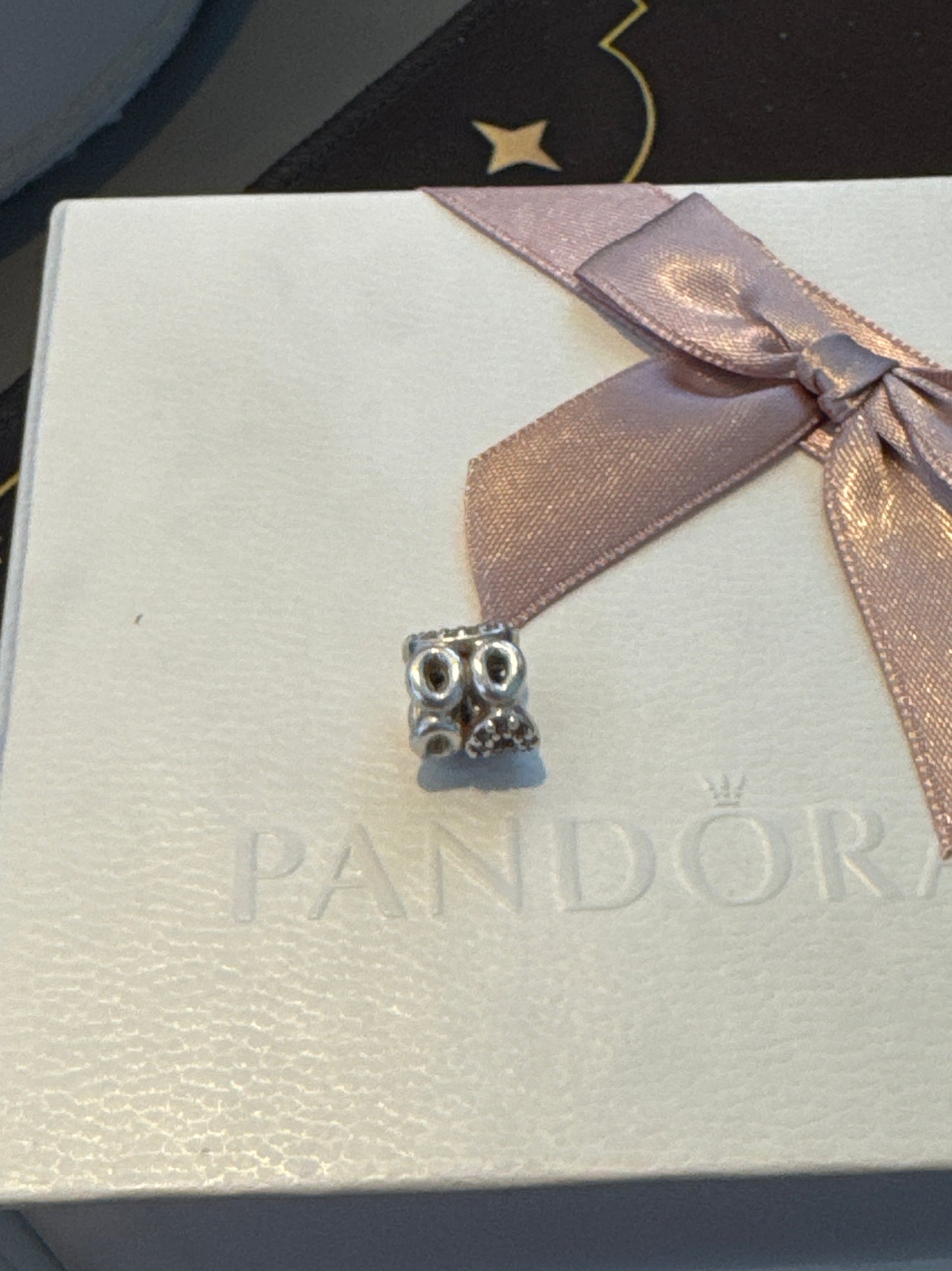 Genuine Pandora Pave Circle of Friends Openwork Charm