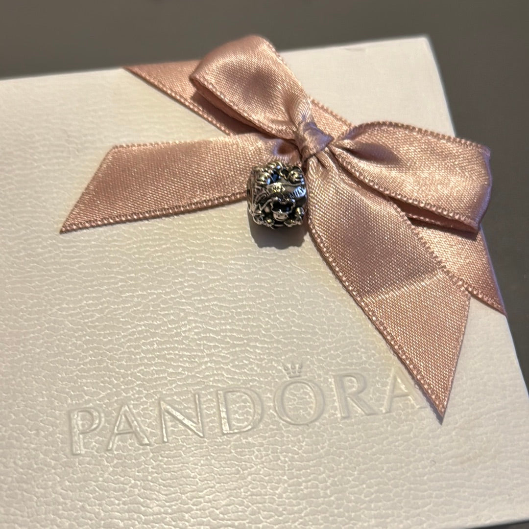 Genuine Pandora Disney Parks Exclusive Minnie & Mickey Mouse Disney Family Enamel Charm