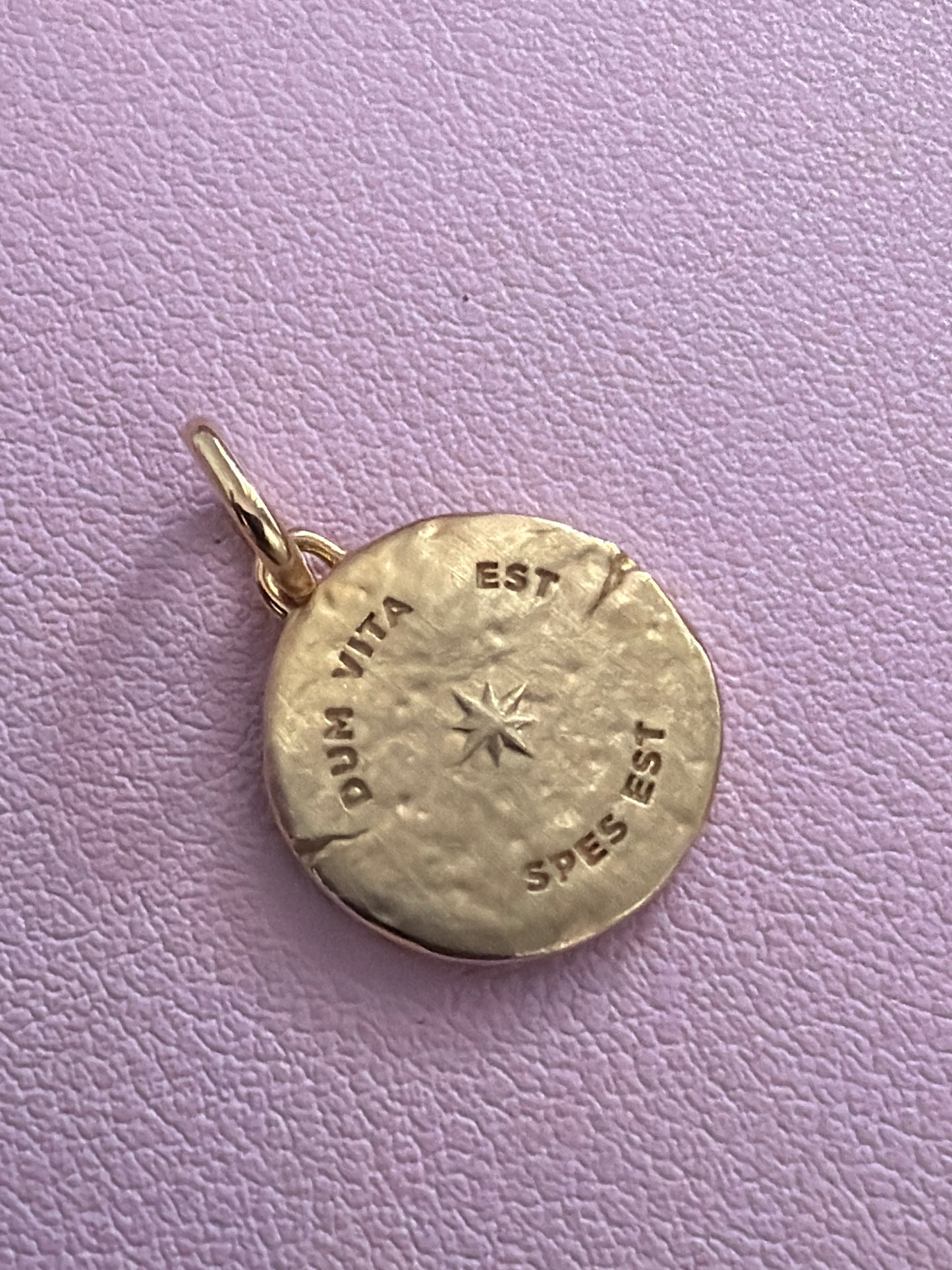 Genuine Pandora Shine Gold CZ Swallow Talisman Pendant Charm