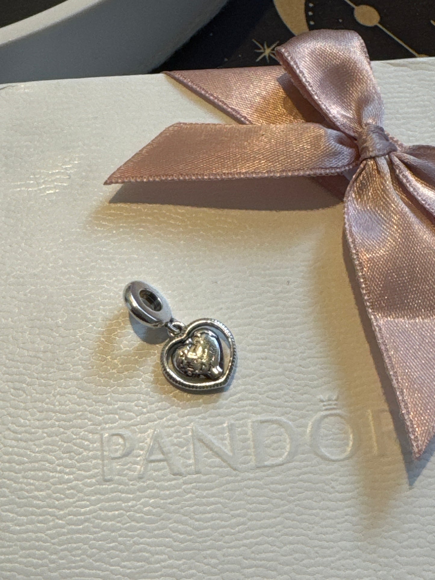 Genuine Pandora spinning Family World Enamel Spinning Dangle Charm