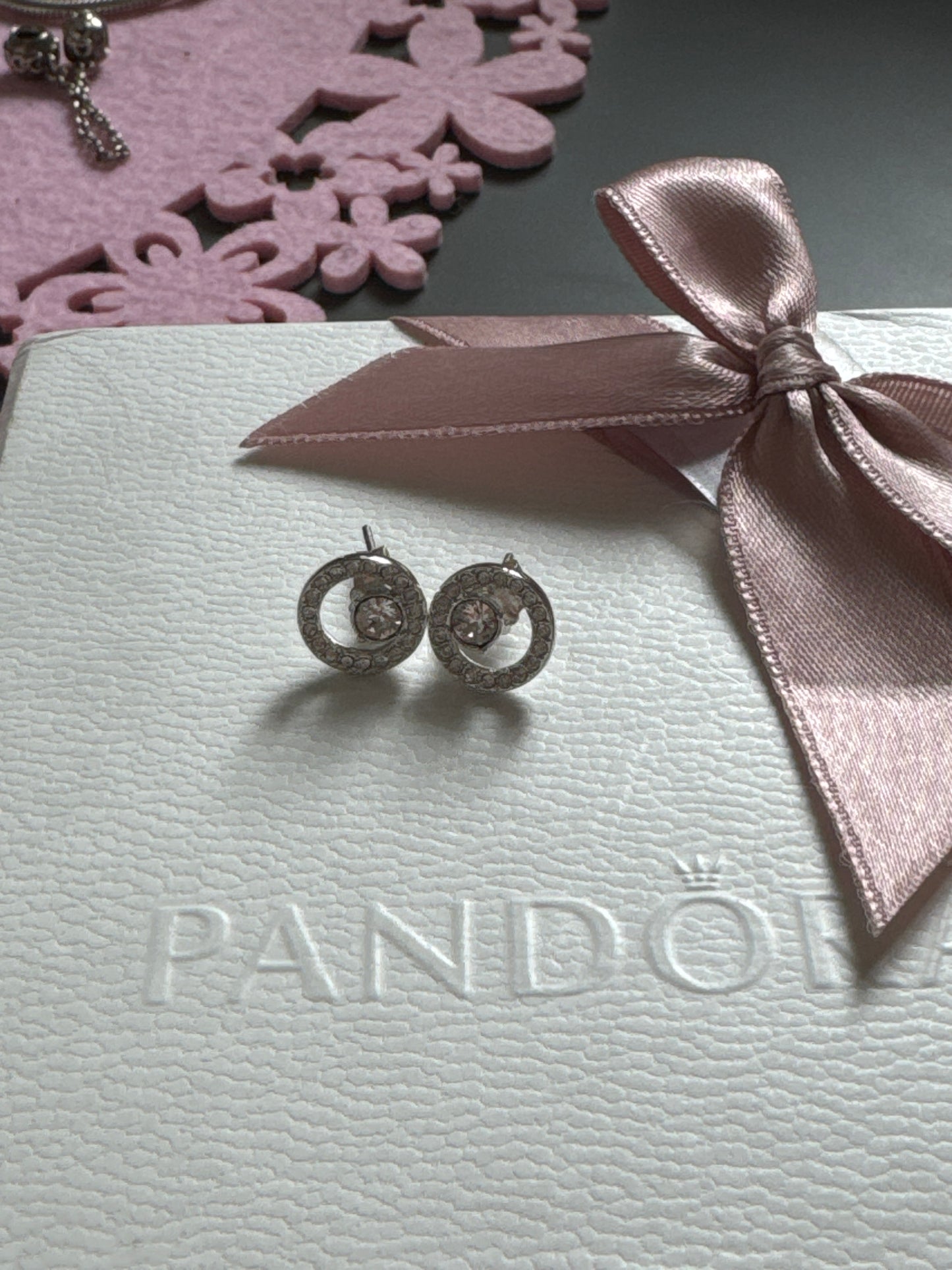 Sterling Silver Circle in a Circle Stud Earrings