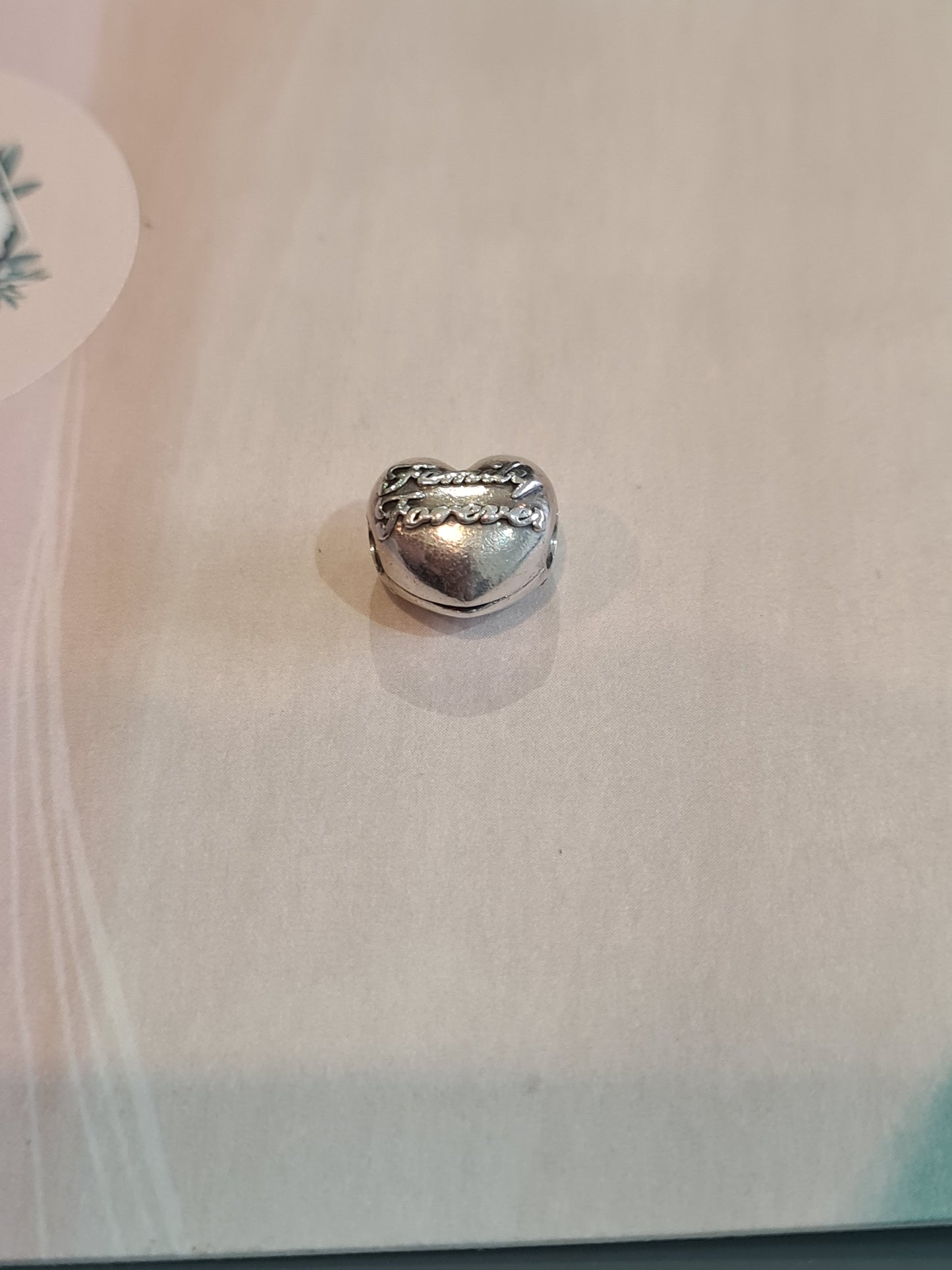 Genuine Pandora Family Forever Clip Charm