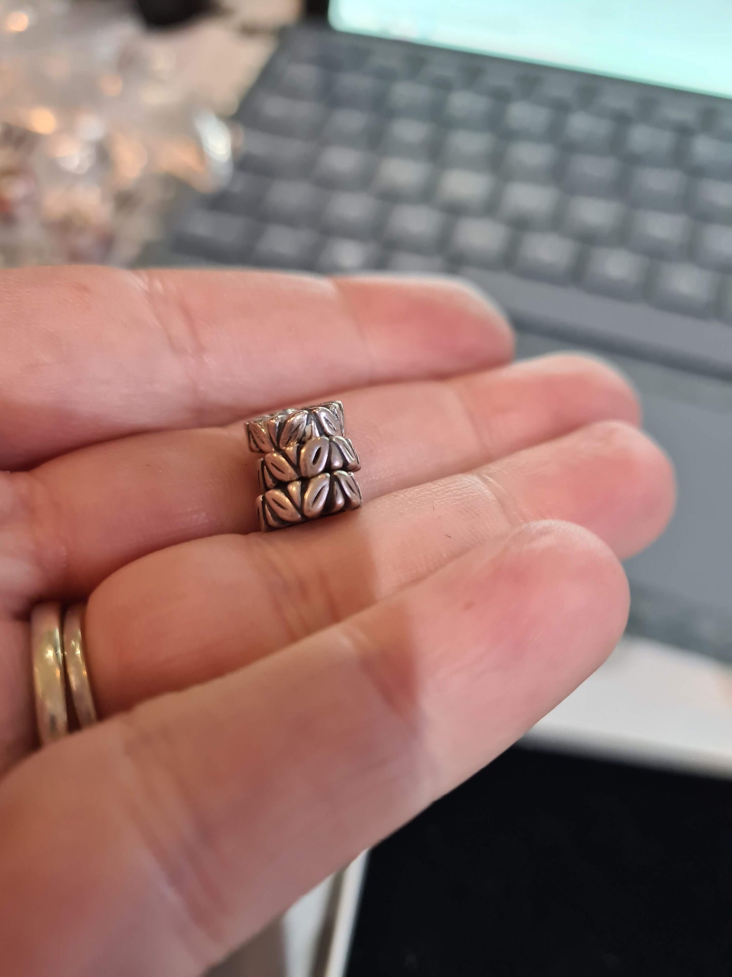 Genuine Pandora Leaf Nature Spacer x2