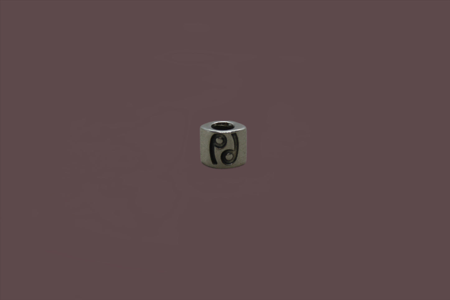 Genuine Pandora Pisces Charm Horoscope
