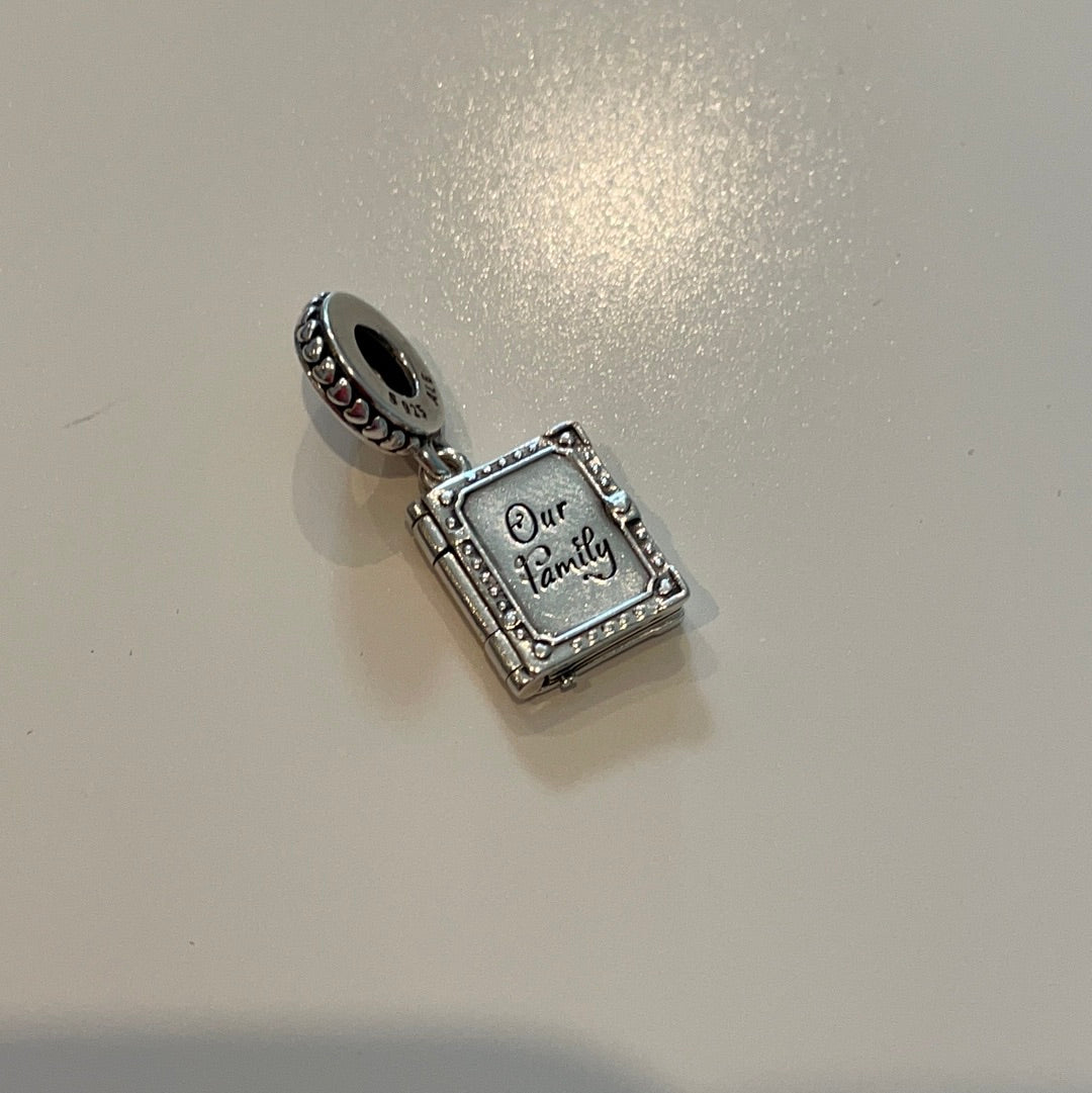 Genuine Pandora Our Family Memory Dangle Book With Turnable Pages Dangle Charm