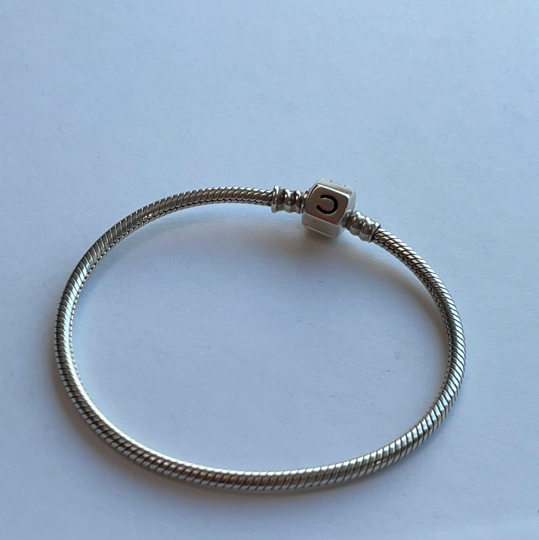 Genuine Chamilia Charm Bracelet Choice