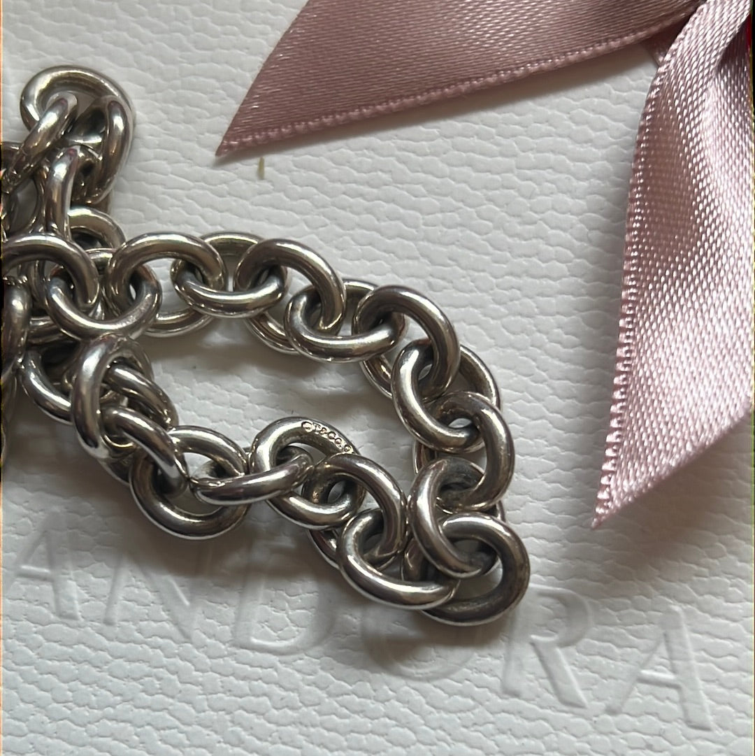 Genuine Tiffany & CO Sterling Silver Vintage Chunky Chain Bracelet With Tiffany Handbag Charm