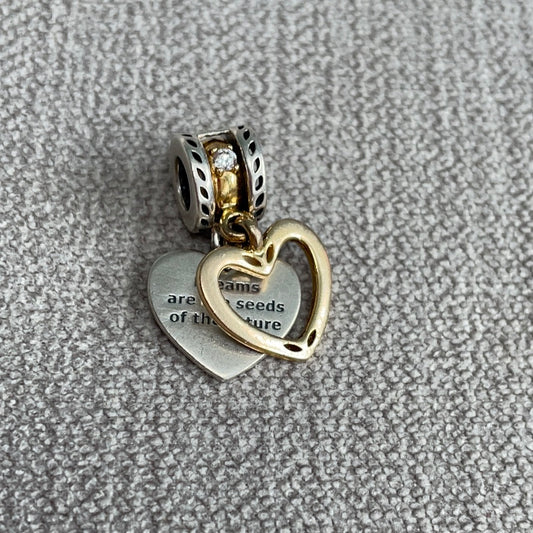 Genuine Pandora Shine Two Tone Removable Charm Dangle Charm 'Dreams are the seeds of the future'