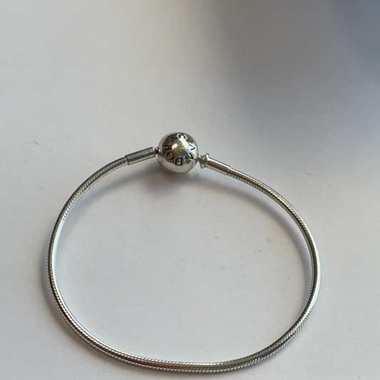 Genuine Essence Silver/ Rose Gold Thin Snake Chain Bracelet