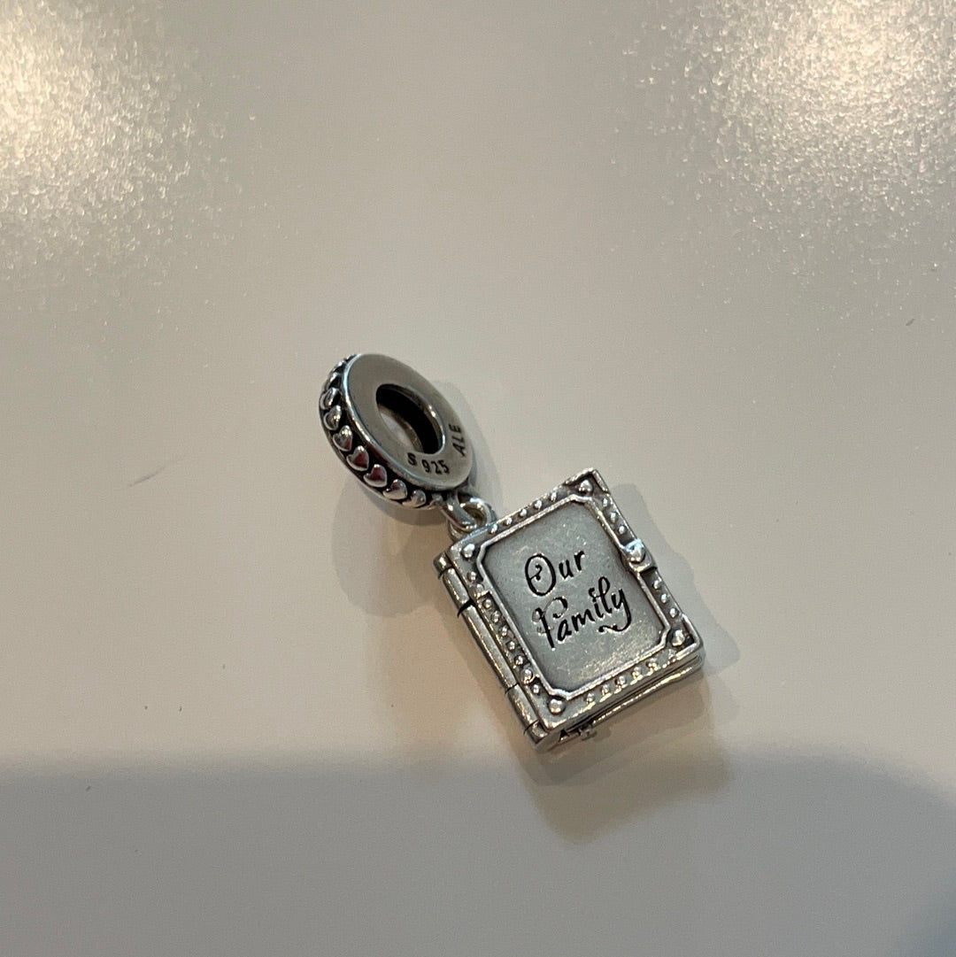Genuine Pandora Our Family Memory Dangle Book With Turnable Pages Dangle Charm
