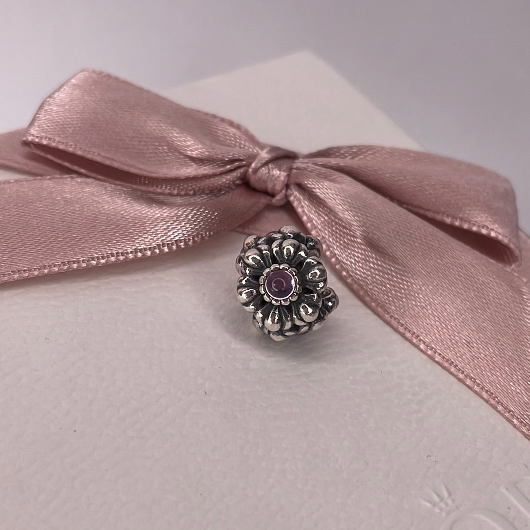 Genuine Pandora Amethyst Birthday Bloom Birth Stone Charm
