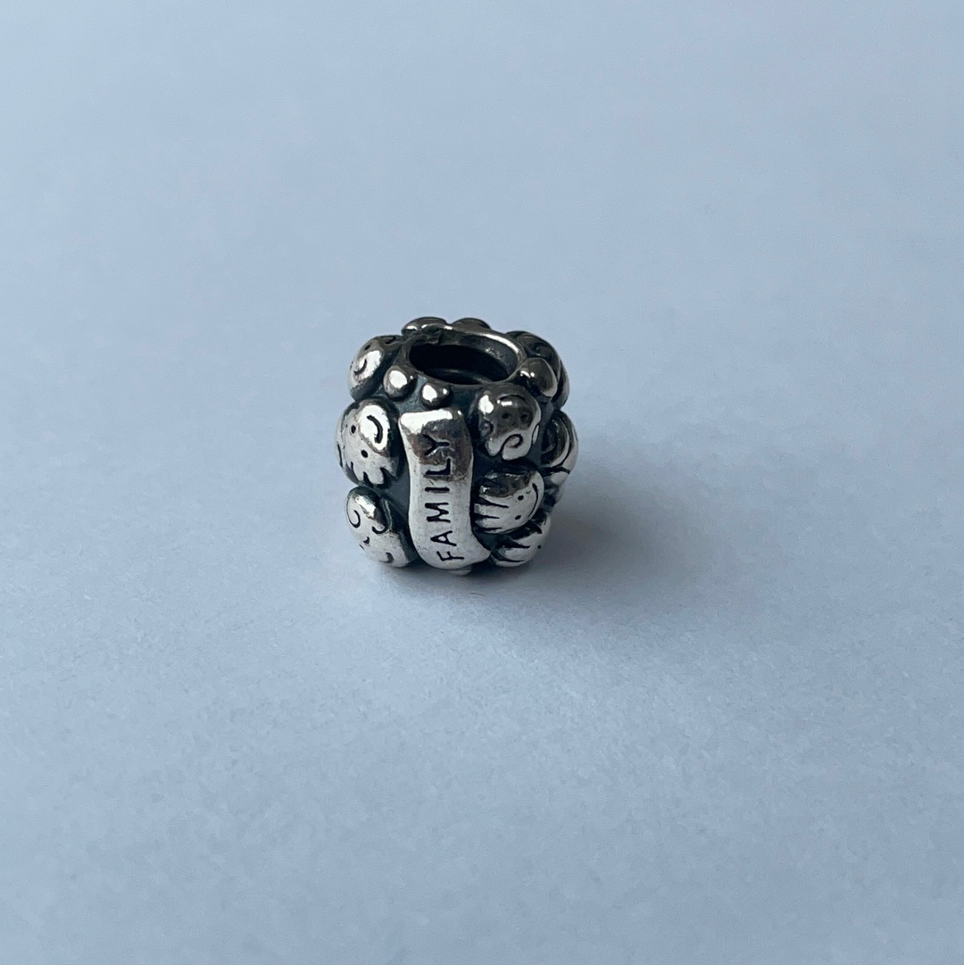 Genuine Pandora Family Charm Faces Charm