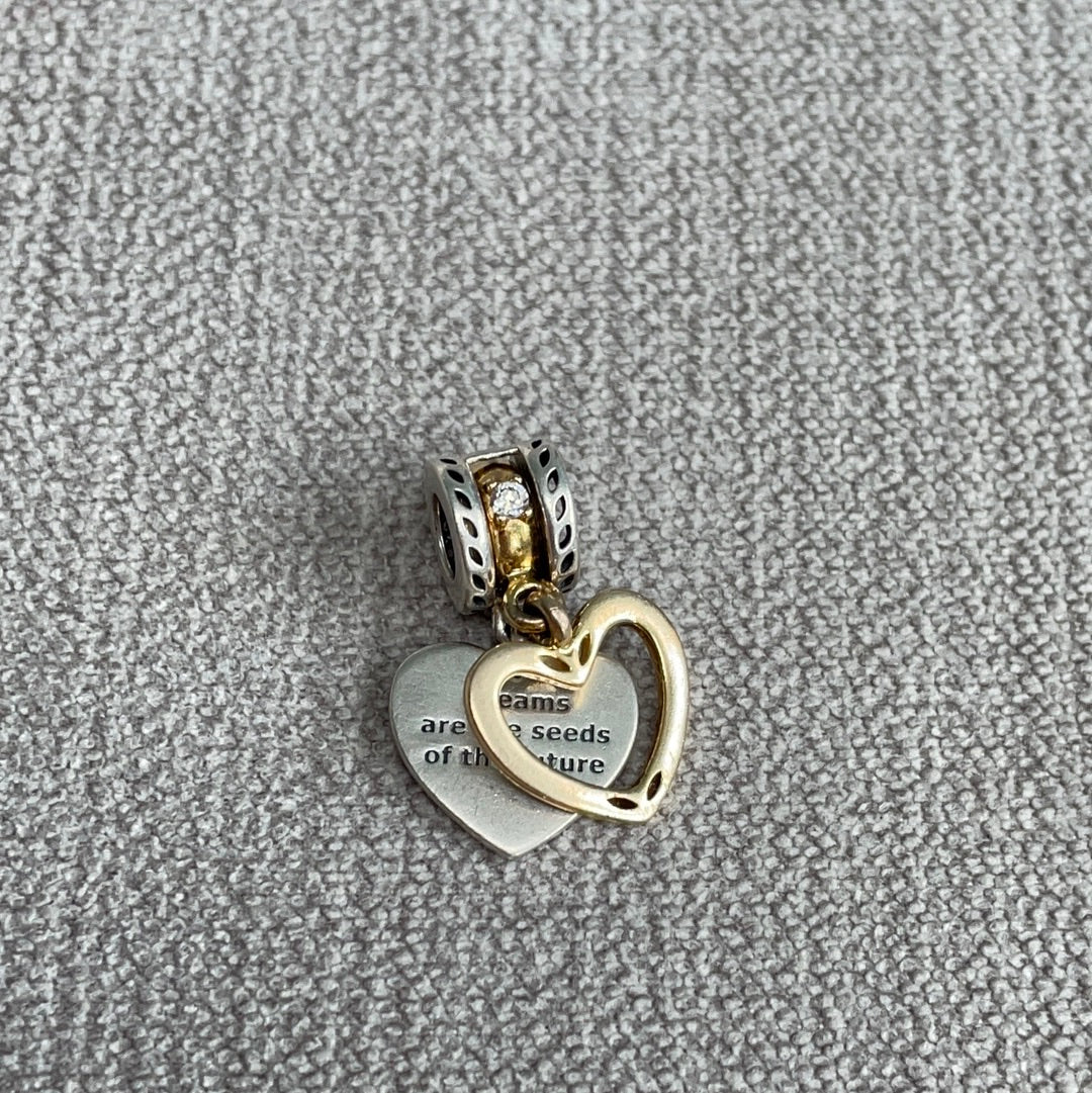 Genuine Pandora Shine Two Tone Removable Charm Dangle Charm 'Dreams are the seeds of the future'