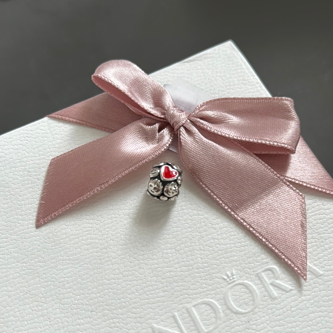Genuine Pandora Rare HTF Family Enamel Heart Indsamling Family Tied Charm