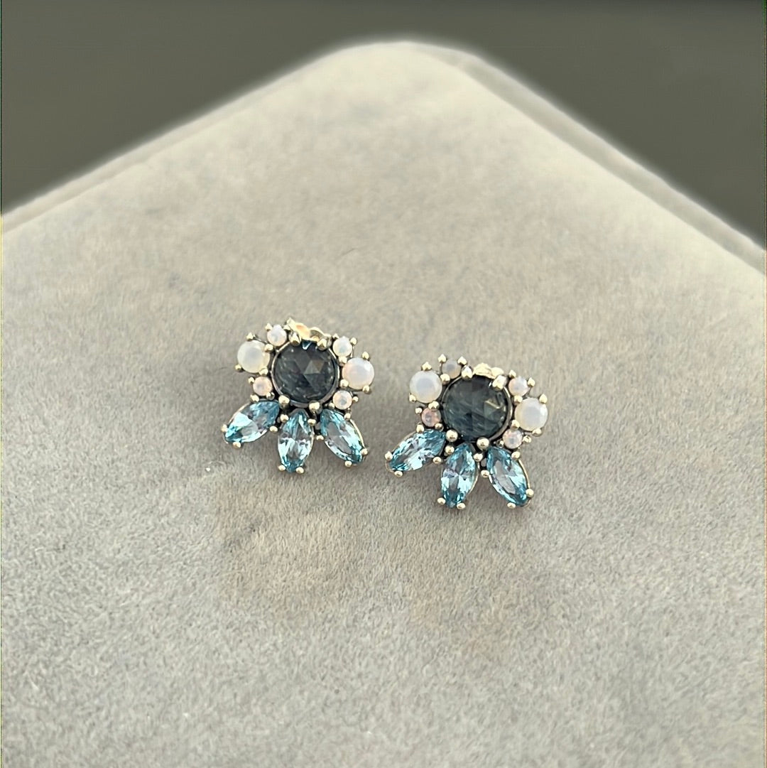 Genuine Pandora Beautiful Patterns of Blue Frost Earrings Studs