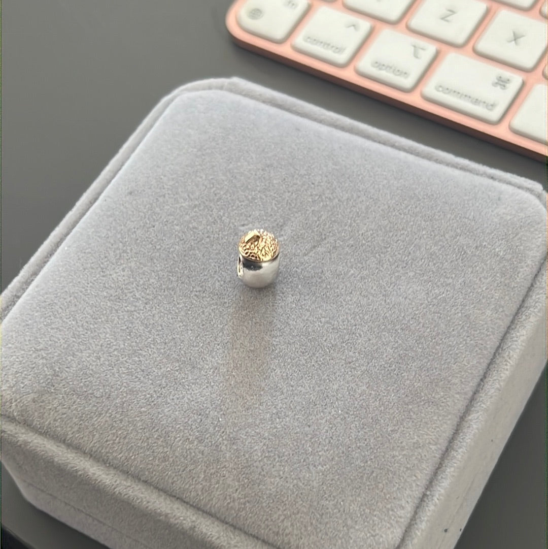 Genuine Pandora Two Tone Super Rare HTF Acorn Charm