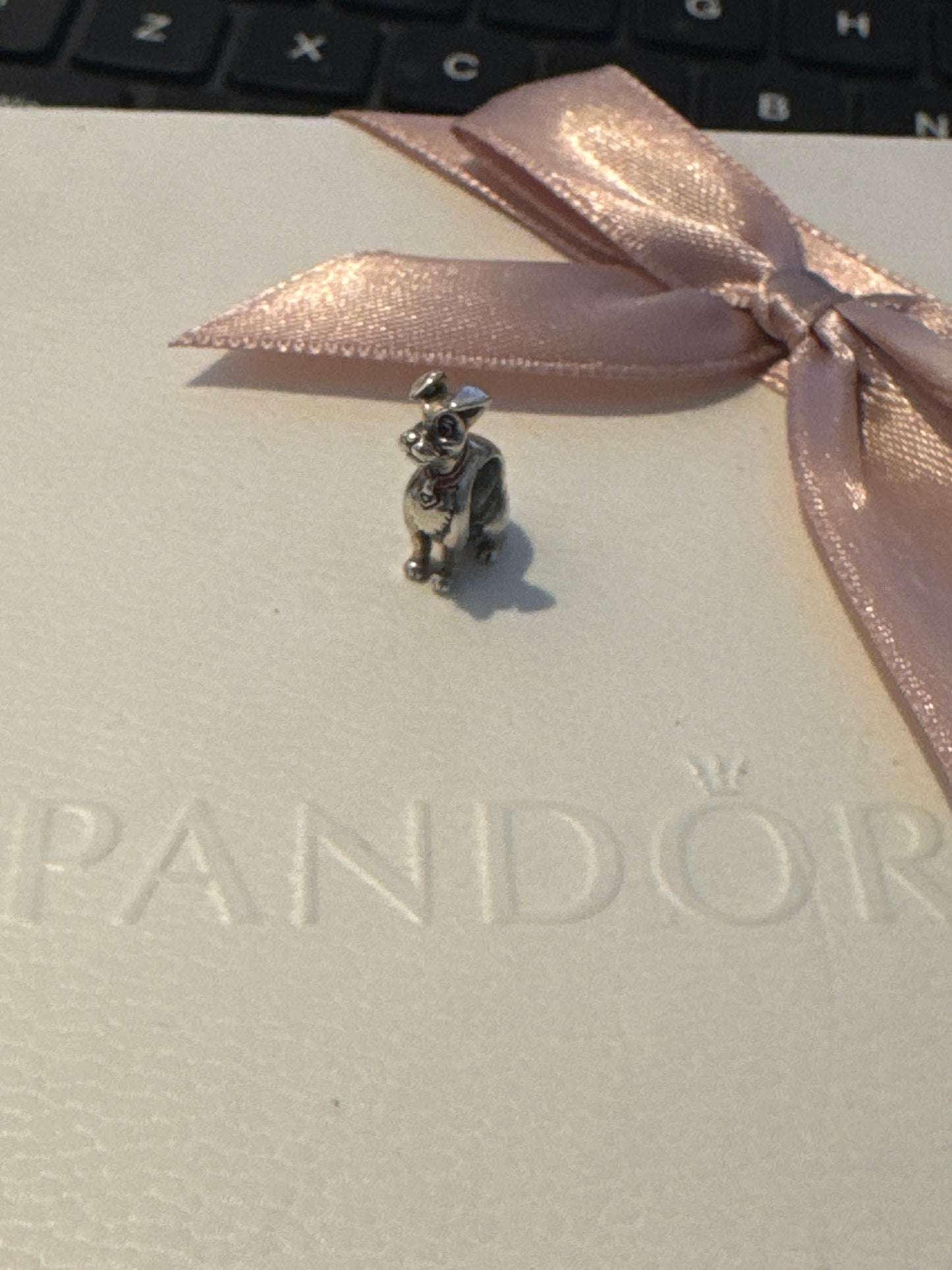 Genuine Chamilia Disney Lady and the Tramp - Tramp Charm