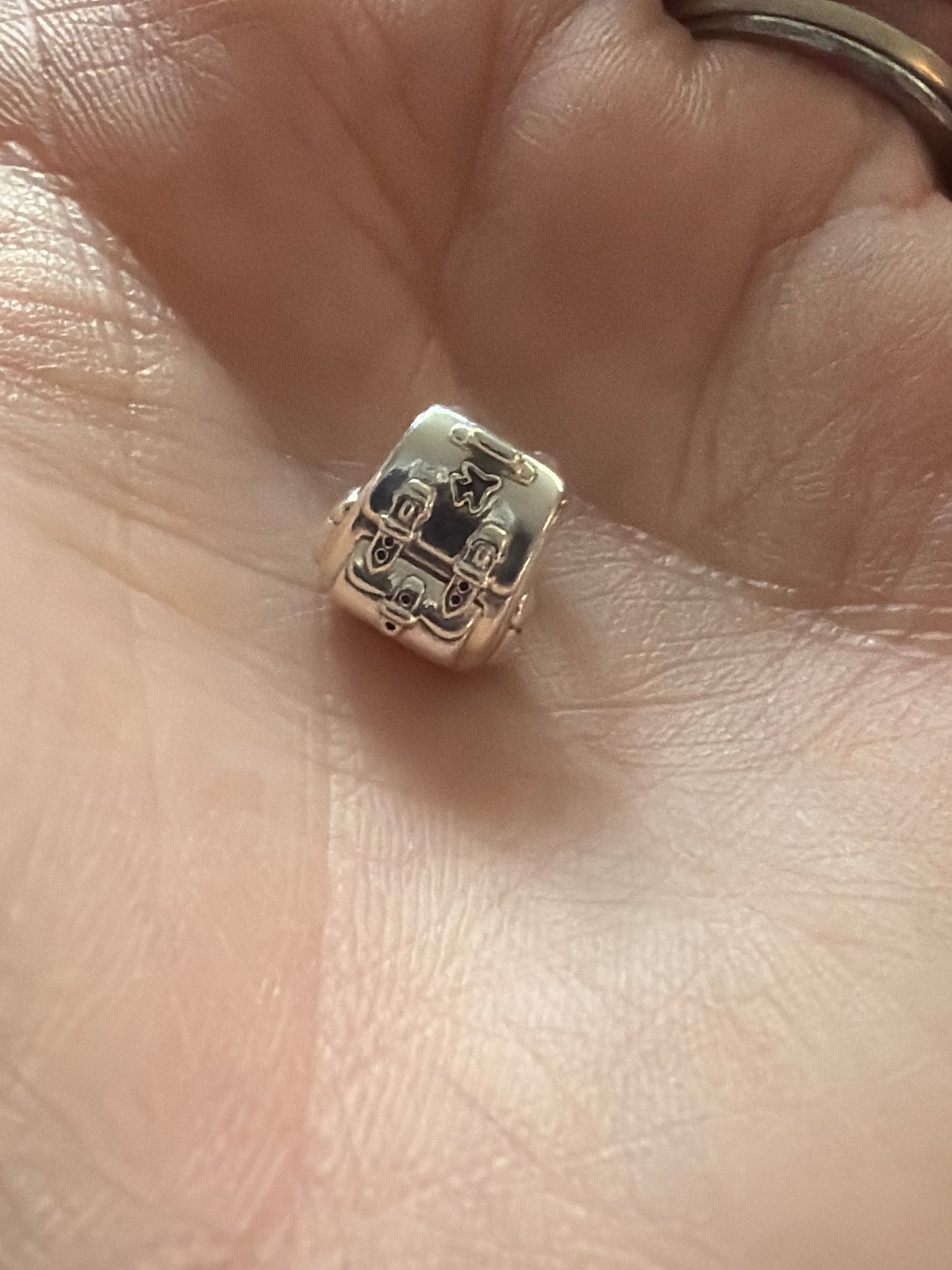 Genuine Pandora Travel New Style Rucksack Backpack School Bag Charm