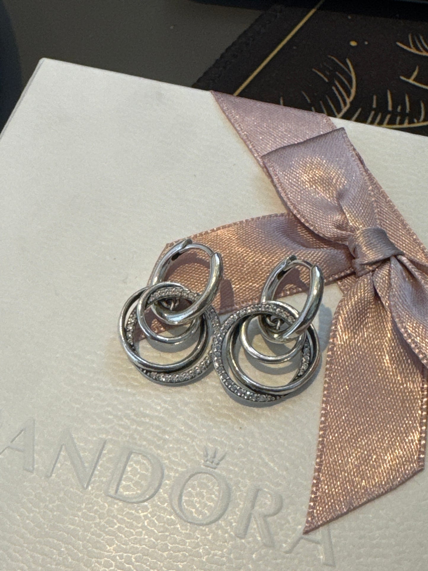Genuine Pandora Family Always Encircled Hoop Earrings