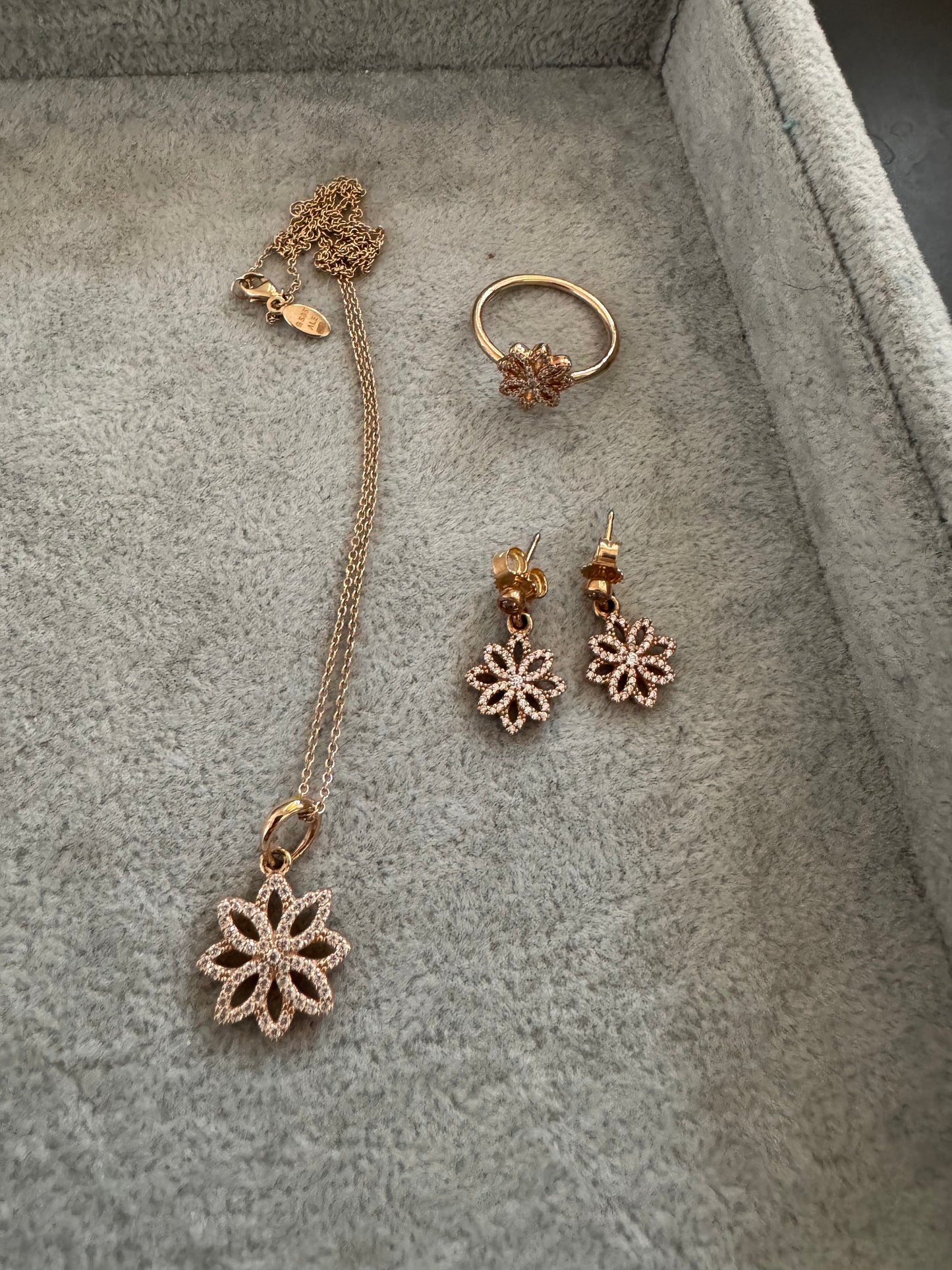 Genuine Pandora RARE HTF Solid Gold 14K Botanique Floral Set
