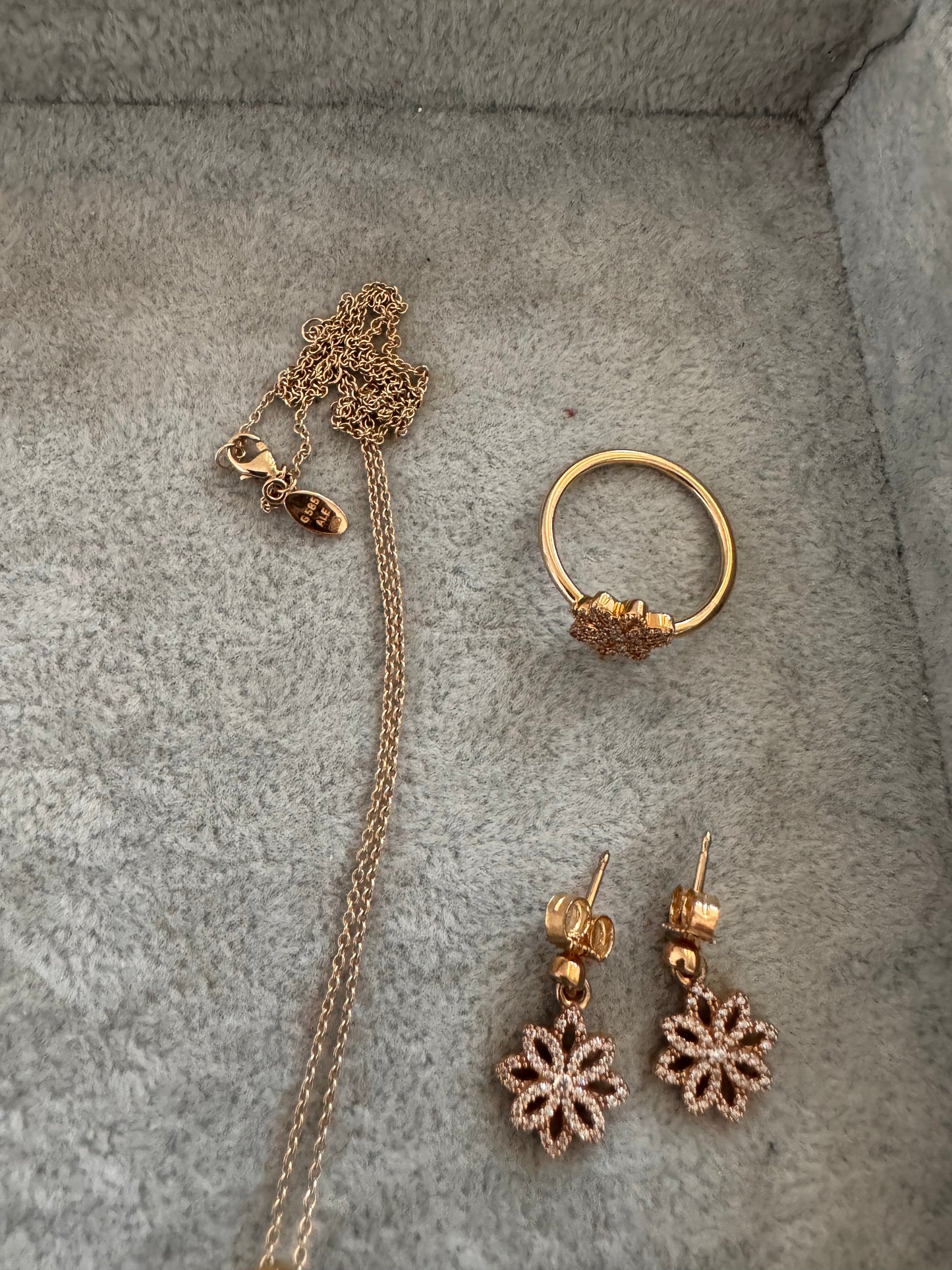Genuine Pandora RARE HTF Solid Gold 14K Botanique Floral Set