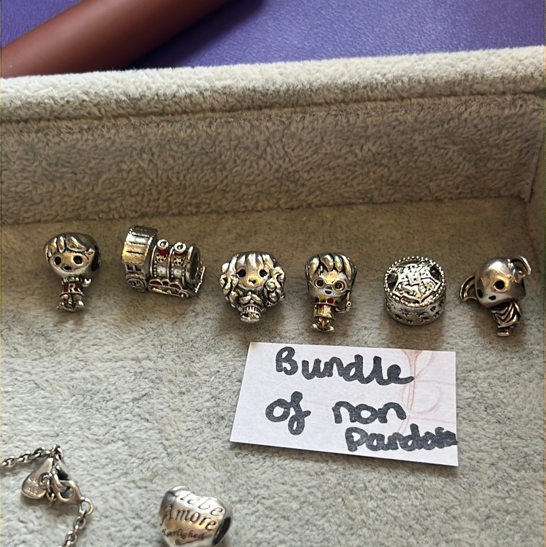Sterling Silver Harry Potter Charm Bundle