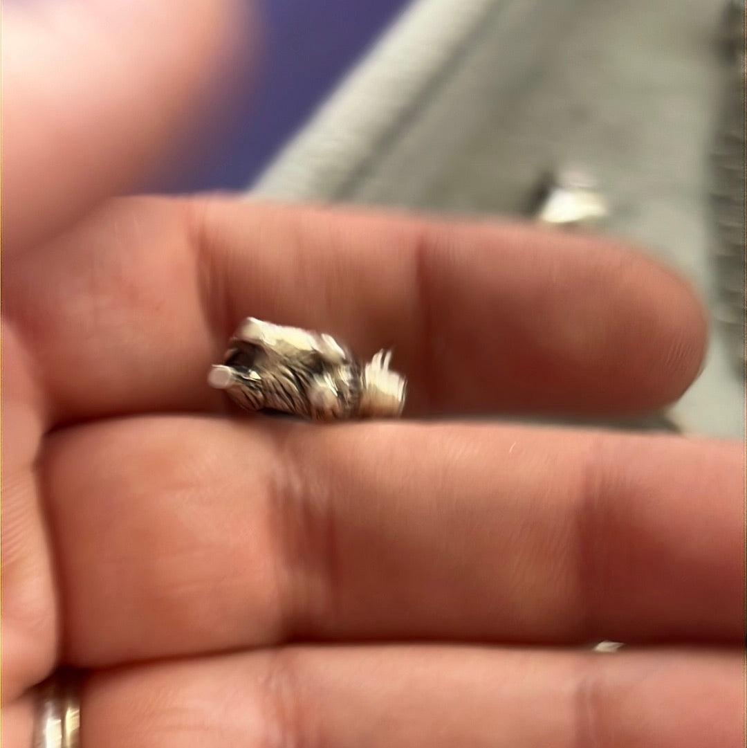 Sterling Silver Cute Scottish Cow Charm