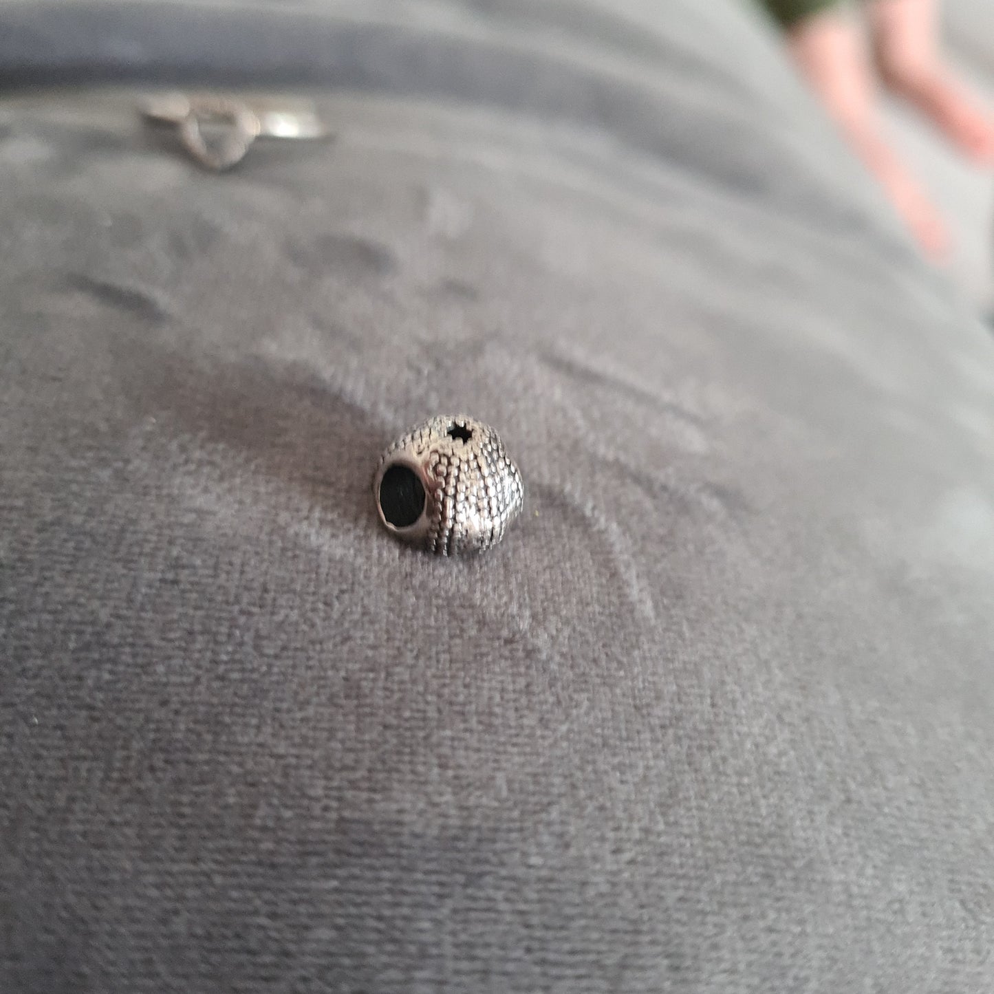 Silver Sea Urchin Beach Travel Charm