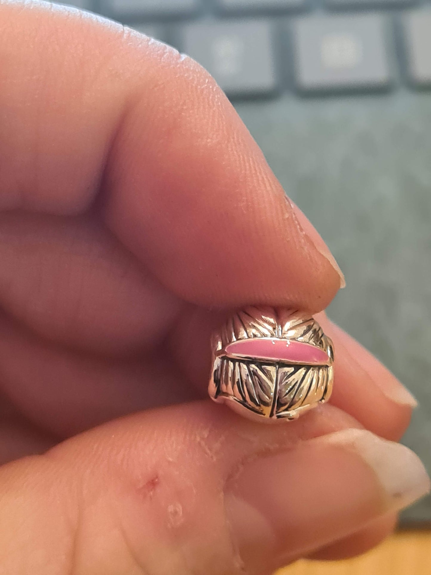 Genuine Pandora Brand New Teenager Girl Child Granddaughter Niece Sister