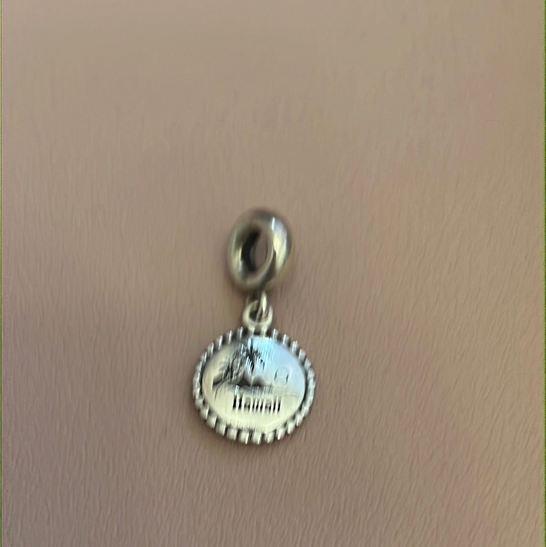 Genuine Pandora RARE HTF Hawaii America USA Travel Charm
