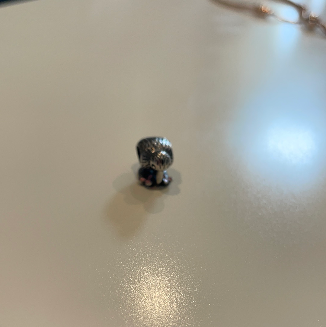Genuine Pandora RARE New Zealand Kiwi Bird With Enamel Flowers Charm
