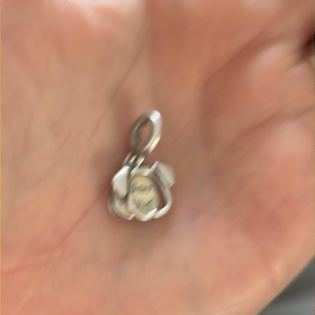 Genuine Pandora My Best Friend is My Dog Pet Dangle Enamel Charm