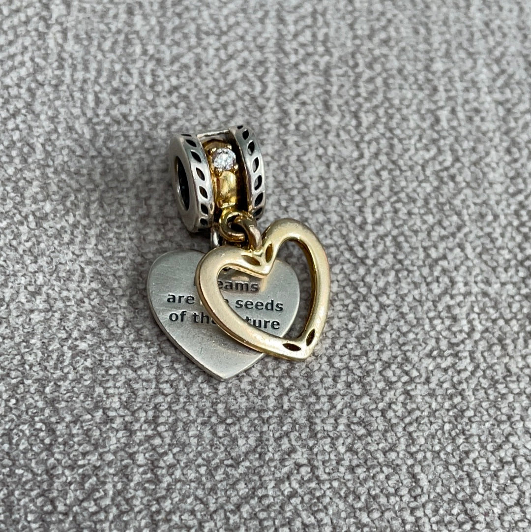 Genuine Pandora Shine Two Tone Removable Charm Dangle Charm 'Dreams are the seeds of the future'