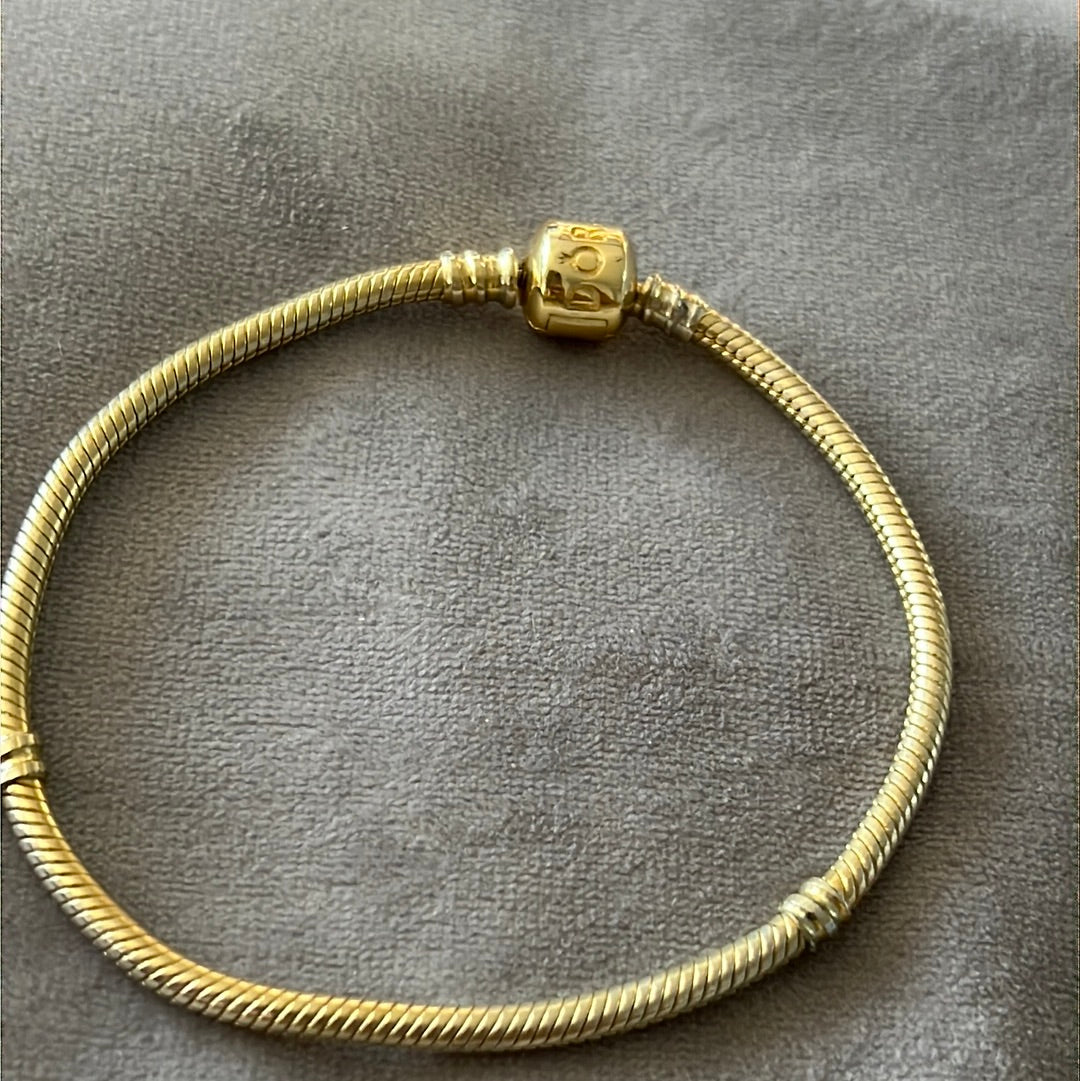 Sterling Silver Shine Gold Snake Chain 20.5cm