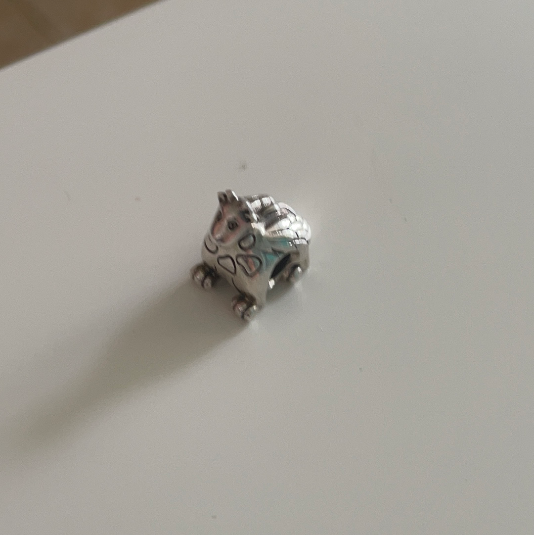 Genuine Pandora Retired Staff Only VERY RARE Winniper Charm HTF