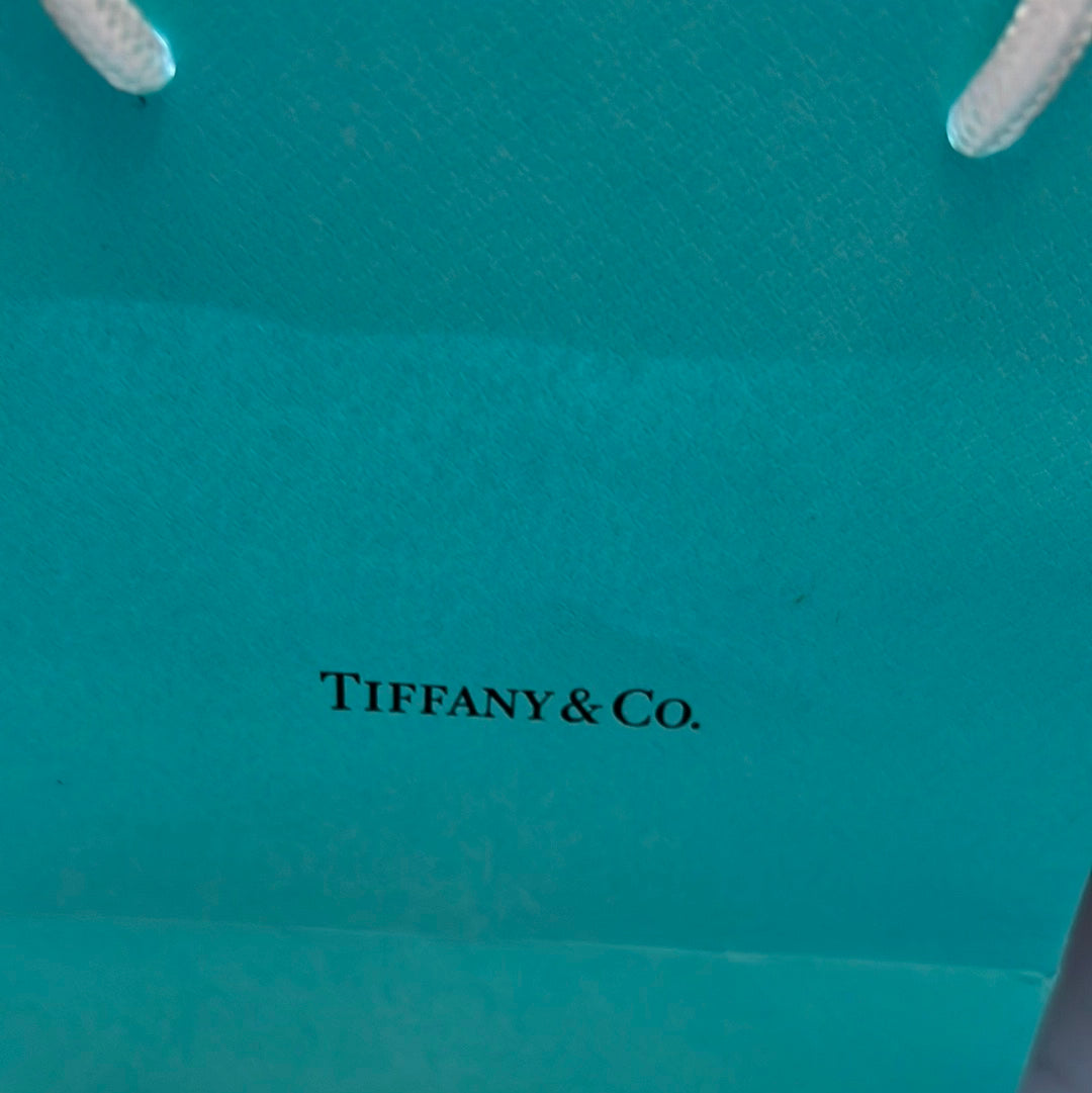 Genuine Tiffany & CO Sterling Silver Large Heart Chunky Toggle Chain Heart Pendant Choker Necklace 43cm