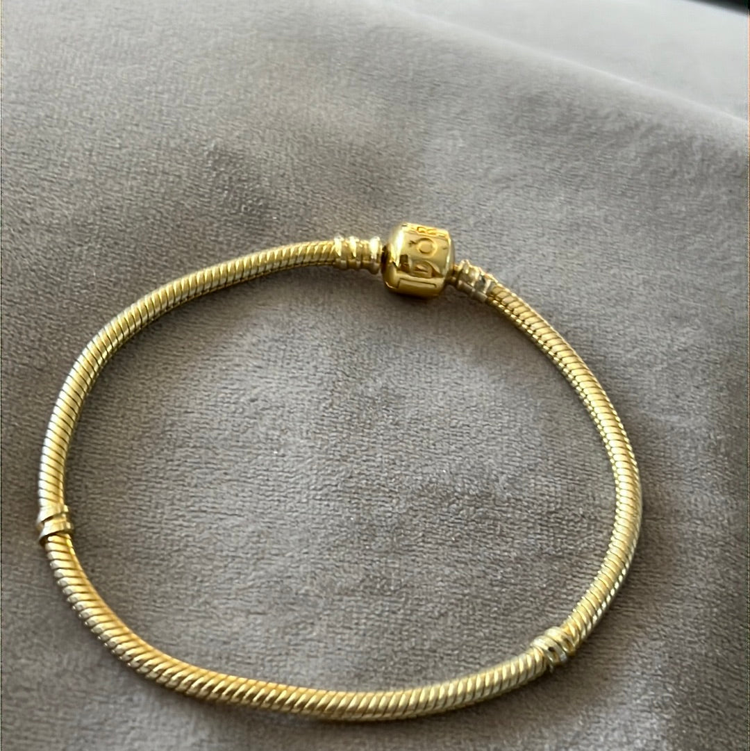 Sterling Silver Shine Gold Snake Chain 20.5cm