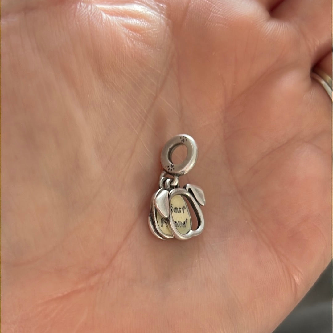 Genuine Pandora My Best Friend is My Dog Pet Dangle Enamel Charm