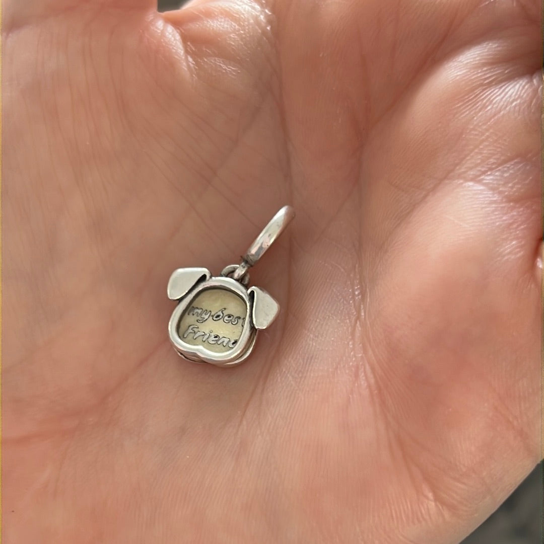 Genuine Pandora My Best Friend is My Dog Pet Dangle Enamel Charm