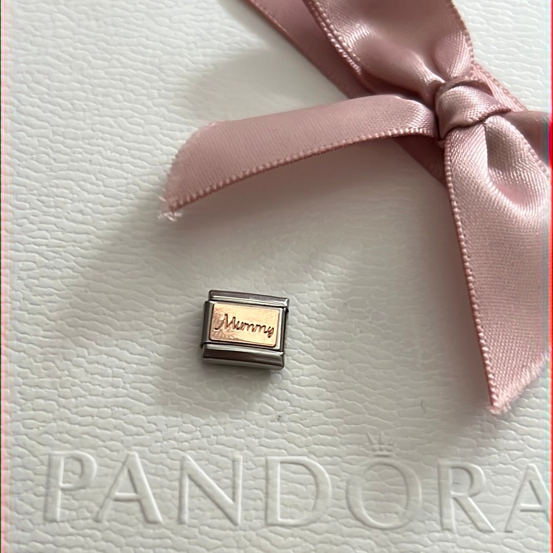 Genuine Nominations Silver Link Charm Rose Gold Accent Mummy